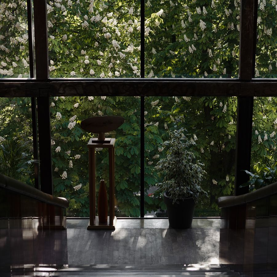 Großes Holz-Alu-Fenster mit Blick ins Grüne